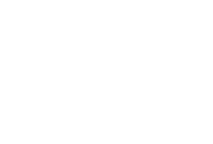 logo iris passion blanc